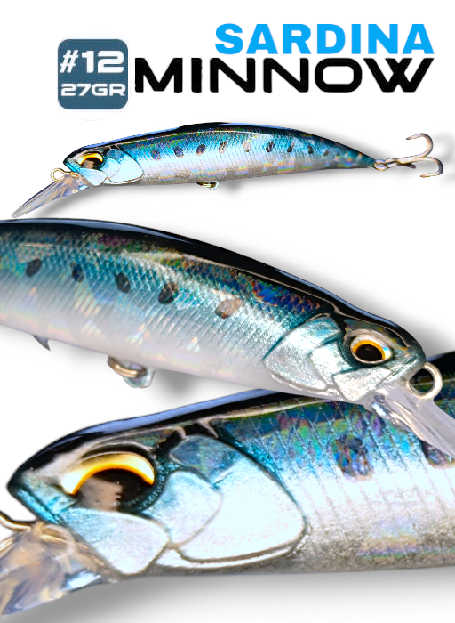 MInnow Sardina